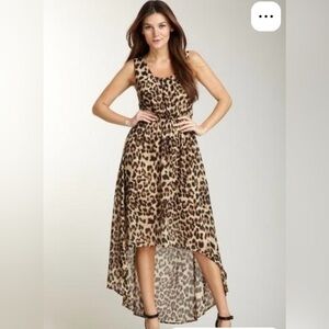 Sans Souci Animal Print High-Low Dress